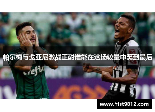 帕尔梅与戈亚尼激战正酣谁能在这场较量中笑到最后